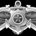 Navy Security Force (NSF) Senior Specialist Insignia