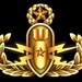 Explosive Ordnance Disposal (EOD) Officer Insignia