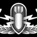 Basic Explosive Ordnance Disposal (EOD) Warfare Insignia