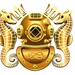 Diving Officer (DV) Insignia