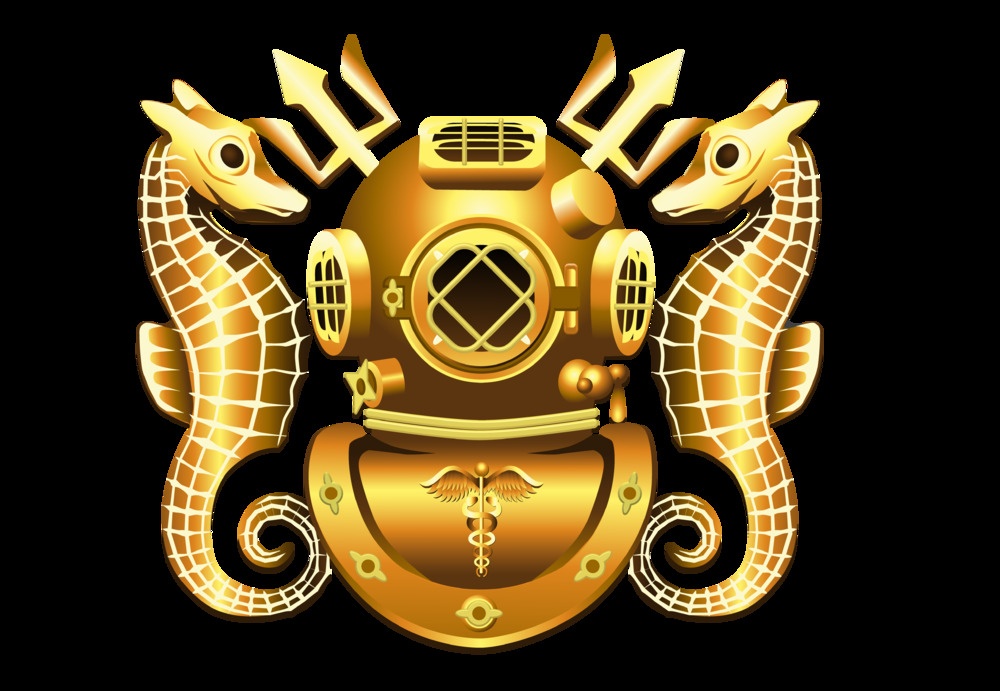 Diving Officer (Medical) (DV) Insignia
