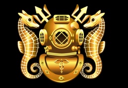 Diving Officer (Medical) (DV) Insignia