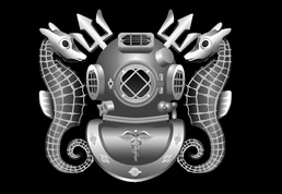 Diving Medical Technician (DV) Insignia