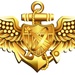 Naval Astronaut Insignia