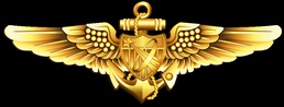 Naval Astronaut Insignia
