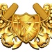 Naval Astronaut (NFO) Insignia