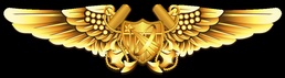 Naval Astronaut (NFO) Insignia