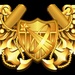 Naval Astronaut (NFO) Insignia