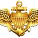 Naval Aviator (Pilot) Insignia