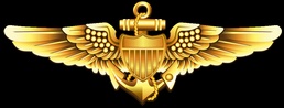 Naval Aviator (Pilot) Insignia