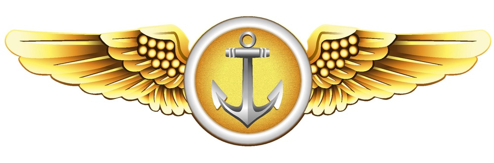 Naval Aviation Observer and Flight Meteorologists Insignia