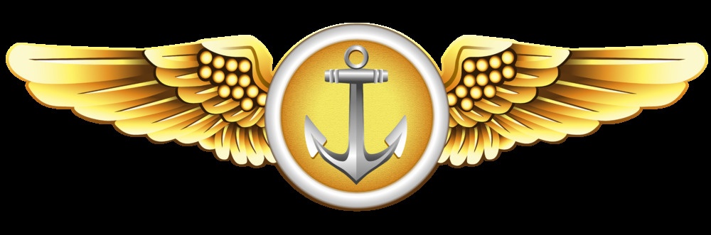 Naval Aviation Observer and Flight Meteorologists Insignia