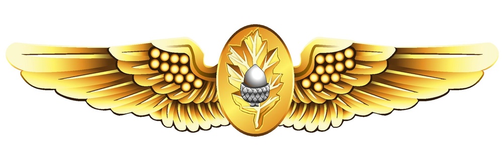Naval Flight Surgeon Insignia