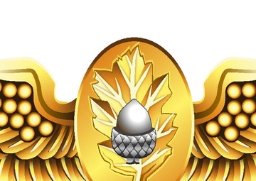 Naval Flight Surgeon Insignia