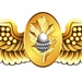 Naval Flight Surgeon Insignia