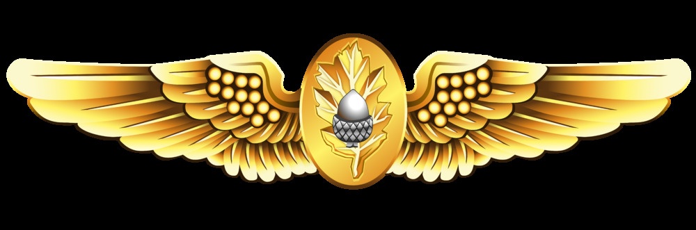 Naval Flight Surgeon Insignia