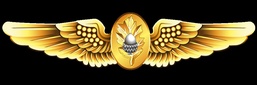 Naval Flight Surgeon Insignia