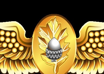 Naval Flight Surgeon Insignia