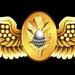 Naval Flight Surgeon Insignia