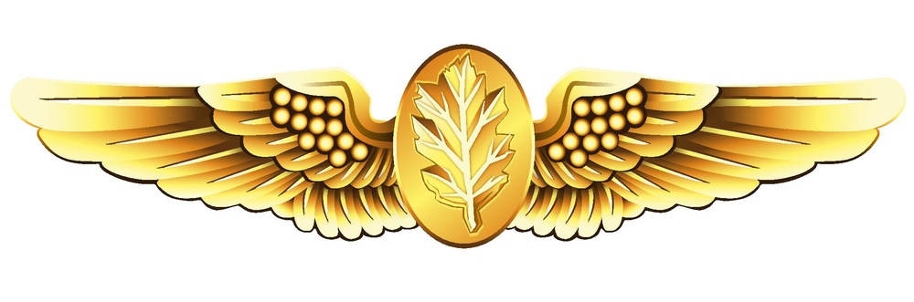 Naval Flight Nurse Insignia