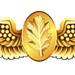 Naval Flight Nurse Insignia