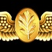 Naval Flight Nurse Insignia