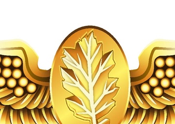 Aviation Experimental Psychologist and Aviation Physiologist Insignia