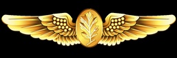 Aviation Experimental Psychologist and Aviation Physiologist Insignia