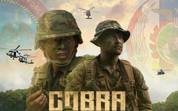 Cobra Gold 25 graphic
