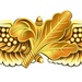 Naval Aviation Supply Corps Insignia