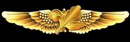 Naval Aviation Supply Corps Insignia
