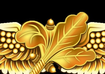 Naval Aviation Supply Corps Insignia