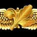 Naval Aviation Supply Corps Insignia