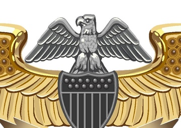Professional Aviation Maintenance Officer Insignia