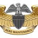 Professional Aviation Maintenance Officer Insignia