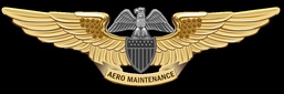 Professional Aviation Maintenance Officer Insignia