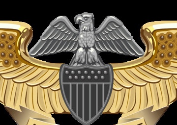 Professional Aviation Maintenance Officer Insignia