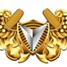 Aerial Vehicle Pilot Insignia