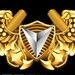 Aerial Vehicle Pilot Insignia