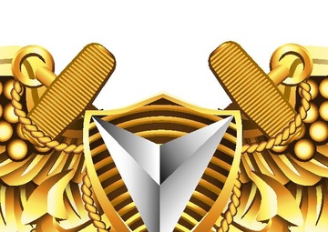 Aerial Vehicle Pilot Insignia