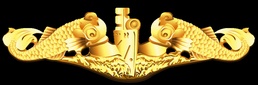 Submarine Warfare (SS) Officer Insignia