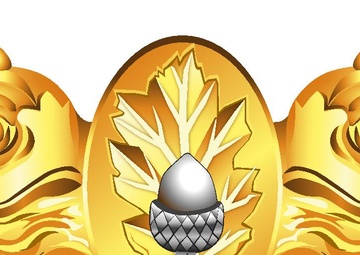 Submarine Medical Insignia