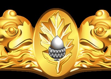 Submarine Medical Insignia