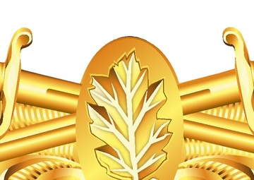 Surface Warfare Medical Service Corps Insignia