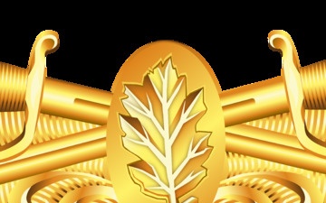 Surface Warfare Medical Service Corps Insignia