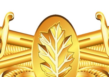 Surface Warfare Nurse Corps Insignia