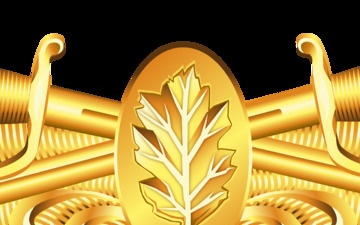 Surface Warfare Nurse Corps Insignia