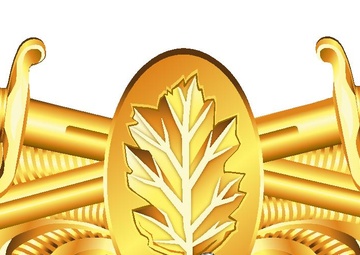 Surface Warfare Dental Corps Insignia