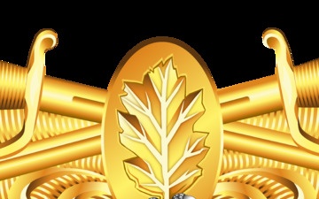 Surface Warfare Dental Corps Insignia