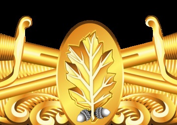 Surface Warfare Dental Corps Insignia